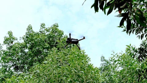 Doanh nghiệp dùng UAV/drone để quản lý rừng trồng