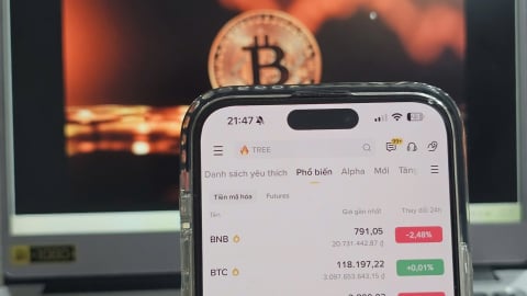Số người chơi tiền mã hóa Việt Nam nhiều gấp đôi nhà đầu tư chứng khoán