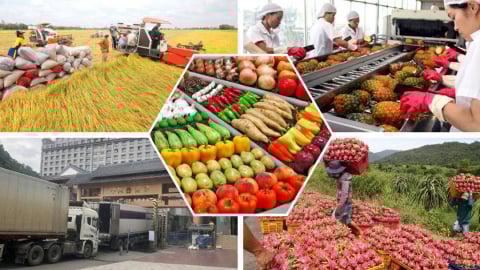 Xuất khẩu nông lâm thủy sản tiếp tục thặng dư 'khủng'