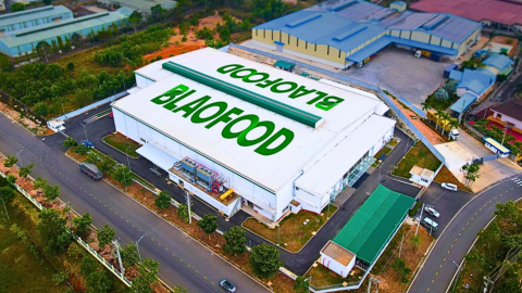 Antesco phát hành 3,5 triệu cổ phiếu riêng lẻ