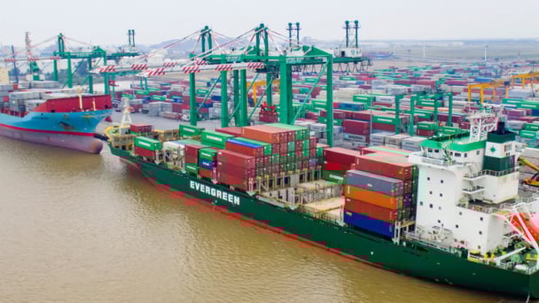 VSC-HAH: Bộ đôi bứt phá xuyên tâm bão thuế quan