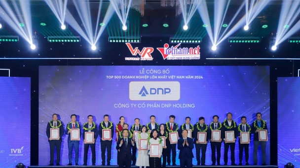 DNP Holding thuộc Top 500 doanh nghiệp lớn nhất Việt Nam 2024