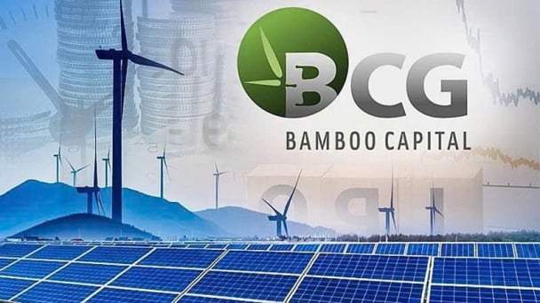 Tập đoàn Bamboo Capital tiếp tục kiện toàn Ban Điều hành