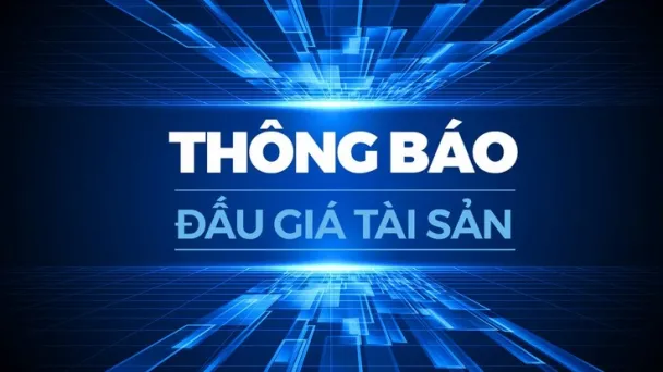 Công ty Đấu giá Hợp danh Vạn Thành An thông báo đấu giá