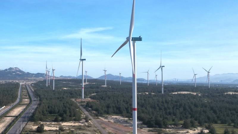 Nexif Ratch Energy SE Asia làm nhà máy điện gió hơn 5.700 tỷ tại Gia Lai