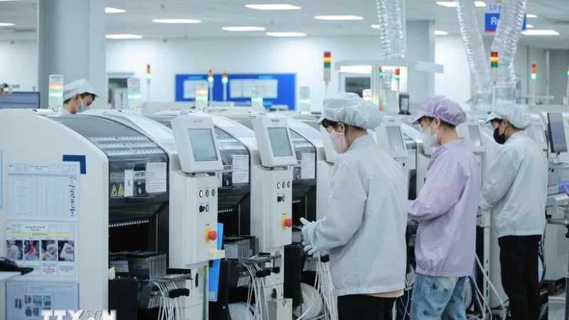 Bất chấp rủi ro thuế quan, doanh nghiệp châu Âu vẫn vững tin vào triển vọng dài hạn của Việt Nam