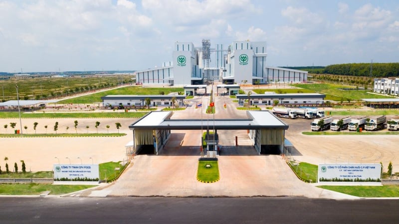 Nửa đầu năm 2025, Đại gia Thái Lan C.P kiếm 43.000 tỷ đồng tại Việt Nam