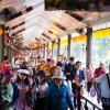 Traveloka 'bắt tay' Cebu Pacific thúc đẩy du lịch Việt Nam - Philippines