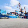 Hải An kỳ vọng tăng trưởng sau cái 'bắt tay' với Viconship
