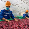 Giữa thuế đối ứng, đơn hàng xuất khẩu tăng trở lại
