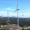 Nexif Ratch Energy SE Asia làm nhà máy điện gió hơn 5.700 tỷ tại Gia Lai