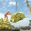 Xuất siêu nông lâm thủy sản đạt gần 10 tỷ USD trong 6 tháng đầu năm 2025