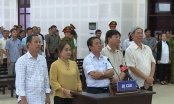 Kết cục của Vụ án “buôn lậu” 535.8m3 gỗ trắc ở Đà Nẵng