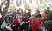 Đà Nẵng: Xử phạt gần 300 triệu trong hoạt động du lịch