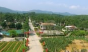 Nông thôn mới Hà Tĩnh: Từ tỉnh nghèo thành những vùng quê đáng sống