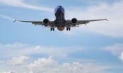 Boeing 737 Max bị cấm bay, du lịch đường hàng không có bị rối loạn?