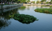 Cận cảnh những hồ nước tại TP. Đà Nẵng mà ông Dũng ‘lò vôi’ muốn xử lý ô nhiễm để nuôi cá Koi