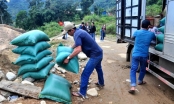 Thủ tướng quyết định xuất 1.000 tấn gạo hỗ trợ nhân dân vùng lũ