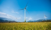 Phát điện dự án điện gió ‘khủng’ nhất Việt Nam