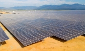 Đầu tư điện mặt trời: Đấu thầu dự án là tối ưu