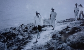 Hình ảnh Bác Hồ kéo lưới ở Sầm Sơn 60 năm trước