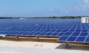 Thừa Thiên Huế cho thuê hơn 580.000m2 đất để thực hiện Nhà máy điện mặt trời 120 tỷ