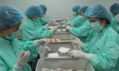 Tiến độ vaccine Covid-19 ở Việt Nam