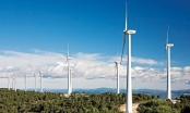 Quảng Trị: Điều chỉnh giảm hơn 400 tỷ đồng vốn đầu tư dự án Nhà máy điện gió Hướng Linh 4