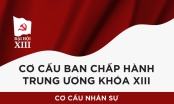 Ban Chấp hành Trung ương khóa XIII có cơ cấu như thế nào?