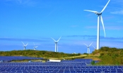 Lĩnh vực năng lượng tái tạo sẽ đem đến làn sóng FDI mới vào Việt Nam?