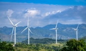 Bộ Công Thương trình Thủ tướng bổ sung vào quy hoạch 2 dự án điện gió ở Hà Tĩnh hơn 21.100 tỷ đồng