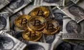 Bong bóng Bitcoin có vỡ vụn như năm 2017?