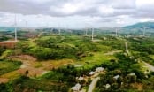 Vì sao 5 dự án điện gió đổ bộ vào Hướng Hóa - Quảng Trị?