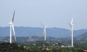 Vì sao Công ty Cổ phần Điện gió Hướng Tân trả lại gần 7.700 m2 đất cho Quảng Trị?