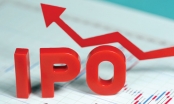 IPO 3,3 triệu cổ phần In báo Nghệ An, dự thu 40 tỷ đồng