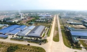 Trung Khởi được chuyển 360ha rừng để làm khu công nghiệp tại Quảng Trị
