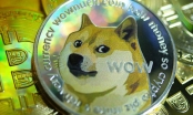 Đồng tiền số mang biểu tượng con chó: Bắt đầu như một trò đùa, giờ đây vốn hóa đạt 40 tỷ USD