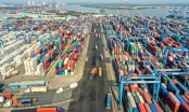 Thu phí cảng biển tại TP.HCM: Doanh nghiệp đề xuất lùi thời gian