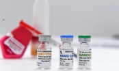 Nanogen xin cấp phép khẩn cấp vắc-xin Nano Covax