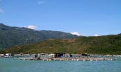 Vì sao Khatoco trả lại 286 ha đất tại cụm đảo Hòn Thị sau hơn 30 năm?