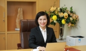 Bà Bùi Thị Thanh Hương làm Chủ tịch NCB, cổ phiếu NVB tăng kịch biên độ