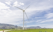 Nhiều tỉnh đồng loạt kiến nghị gia hạn áp dụng giá ưu đãi cho điện gió