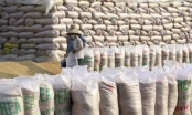 Chính phủ cấp hơn 130.000 tấn gạo hỗ trợ 24 tỉnh, thành phố chống dịch