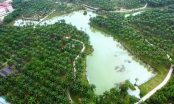 Quảng Trị cho phép lập dự án đầu tư Công viên Cọ cầu