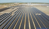 Chủ đầu tư loạt dự án điện mặt trời ở Gia Lai 'dọa' kiện các công ty điện lực