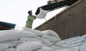 Giá gạo Việt Nam tăng lên mức cao trong 2 tháng rưỡi qua
