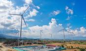 Ninh Thuận: Tìm nhà đầu tư khảo sát cho 2 dự án điện gió ven biển