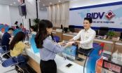 BIDV báo lãi hơn 10.700 tỷ đồng 9 tháng