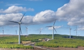 Phú Yên chấp thuận chủ trương đầu tư dự án điện gió quy mô hơn 4.900 tỷ đồng