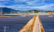 Đầy tiềm năng, Ninh Thuận đề nghị bổ sung 42.595 MW vào Quy hoạch điện VIII
